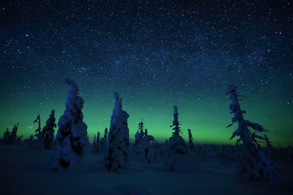 Auroras boreales en los bosques de Laponia, Finlandia.
