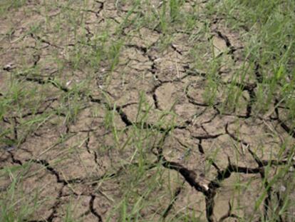 La sequía está afectando gravemente a la Amazonía brasileña.