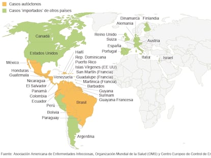 El último brote del virus del zika