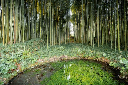 Otro rincón del jardín de Ninfa.