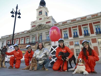 Un cohete por el respeto sideral a los animales