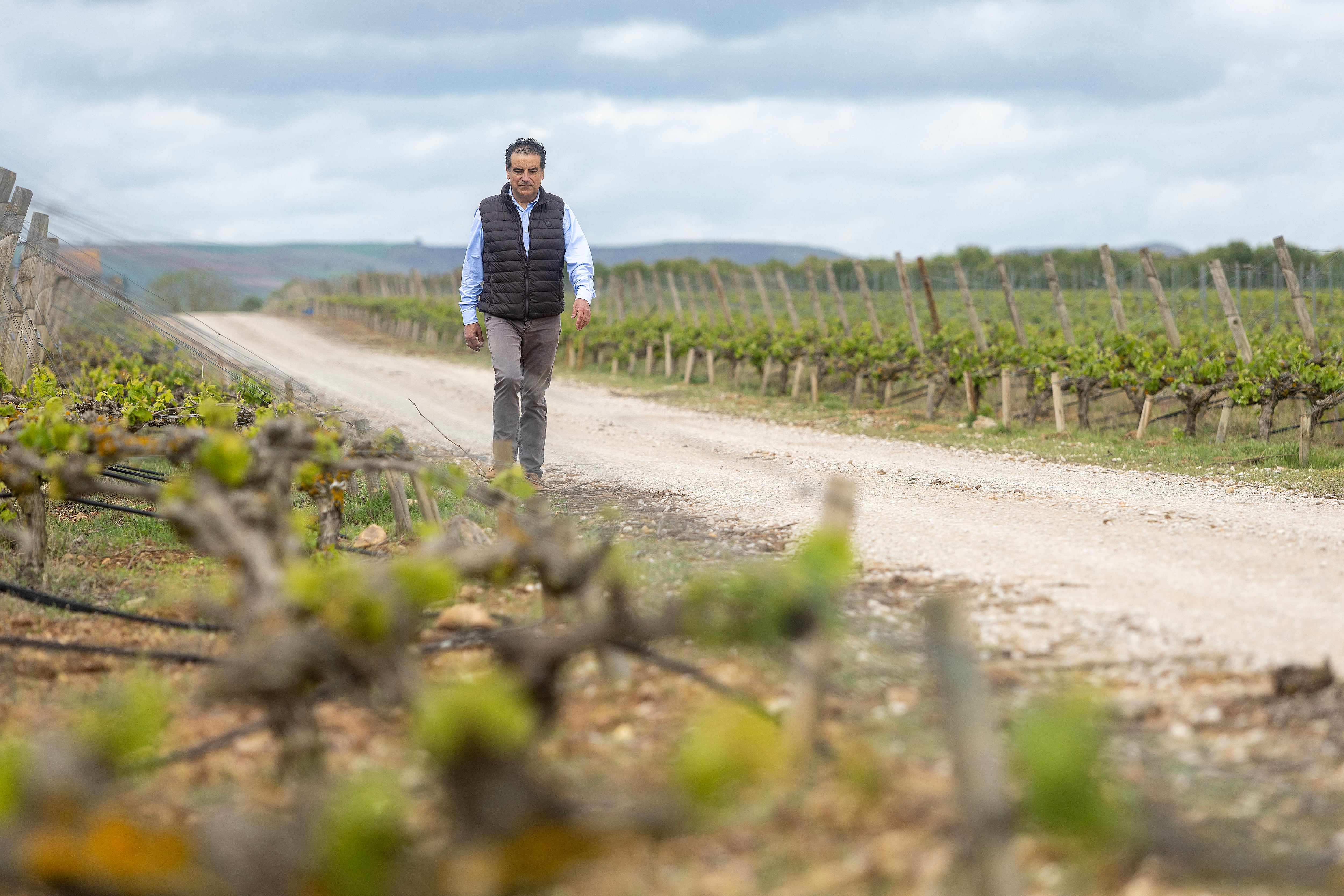 Abel Buezo pasea entre el viñedo que rodea la bodega, ubicada en el paraje Valdeazadón (Burgos).