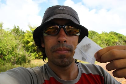 Researcher Gerard Talavera shows three specimens of the butterfly, placed in envelopes immediately after they were collected in French Guiana in October 2013.