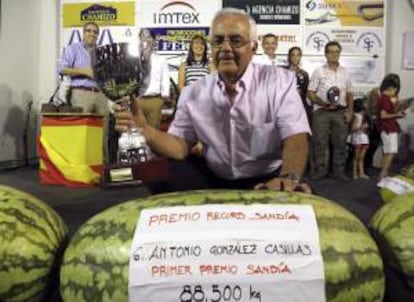 El agricultor villanovense Antonio González Casillas (c), posa junto a la sandía de 88,5 kilos con la que ha ganado el LII Concurso de Sandías y Melones celebrado en las Fiestas de San Bartolomé de la localidad pacense de Villanueva de la Serena. González Casillas logró batir, por segundo año consecutivo, el récord establecido el año pasado con una sandía de 85,2 kilos.