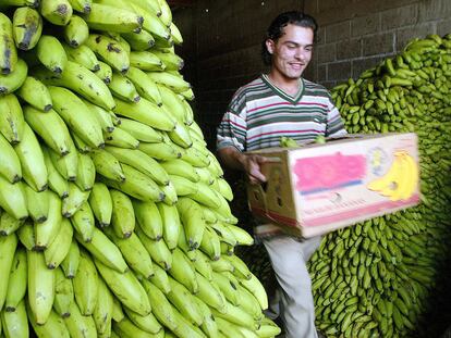 Un trabajador acarrea una caja de bananas en un mercado de Tegucigalpa.