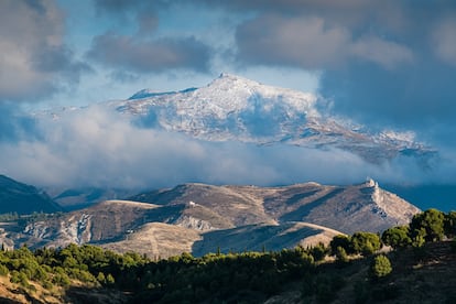 Vista de Sierra Nevada desde la Vega de Granada. 