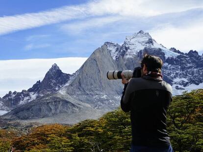 Mirador Británico, envuelto por el bosque magallánico y la  cordillera del Paine.