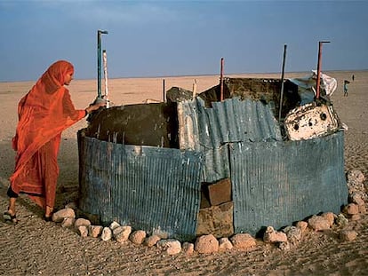 Un chamizo en el desierto del Sáhara.