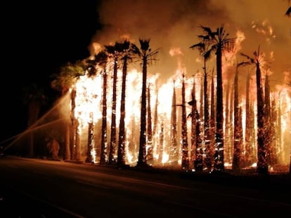 Detalle del incendio en Elche (Alicante), este viernes.