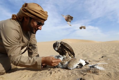 An Emirati man inspects the houbara bustard hunted by a falcon at the al-Marzoon Hunting reserve, 60 Kilometres south of Madinat Zayed, on February 1, 2016. / AFP / KARIM SAHIB