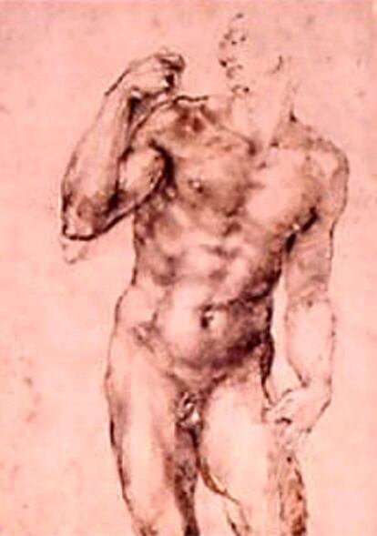 Fragmento de <i>Hombre desnudo de pie</i>, de Miguel Ángel.