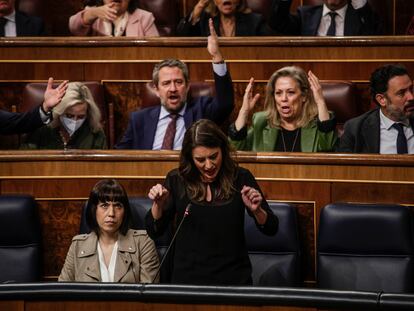 Diputados del PP reaccionan airados a la intervención de la ministra de Igualdad, Irene Montero (en primer término).