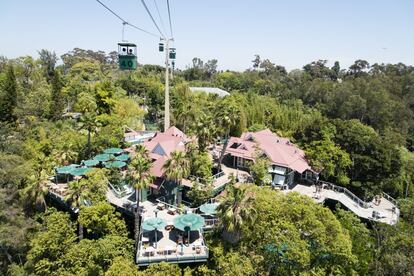 Cuando los sandieguinos no están en la playa, acuden al Balboa Park (balboapark.org) a divertirse. La ciudad ofrece más de una docena de museos de arte, cultura y ciencia, arquitectura de reminiscencias españolas y misiones de paseo por El Prado. Hay animales exóticos y se puede montar en el teleférico Skyfari (en la foto) dentro dell famoso zoo de San Diego (sandiegozoo.org) y se puede asistir a un espectáculo en el Old Globe Theater (theoldglobe.org).