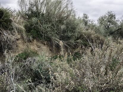 Antonio María Gómez estranguló a su mujer y tiró el cadáver a un arroyo seco dentro de una maleta.