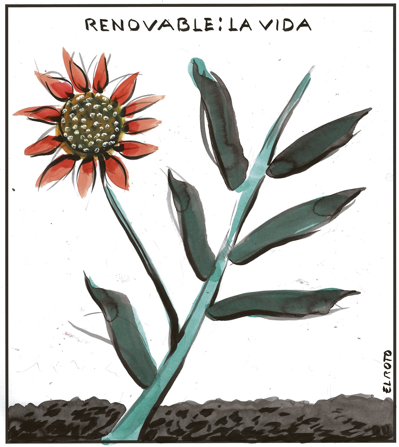 El Roto: renovable