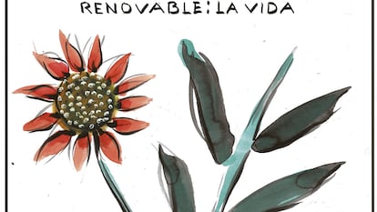 El Roto: renovable