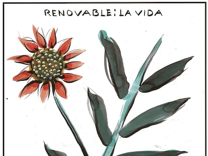 El Roto: renovable