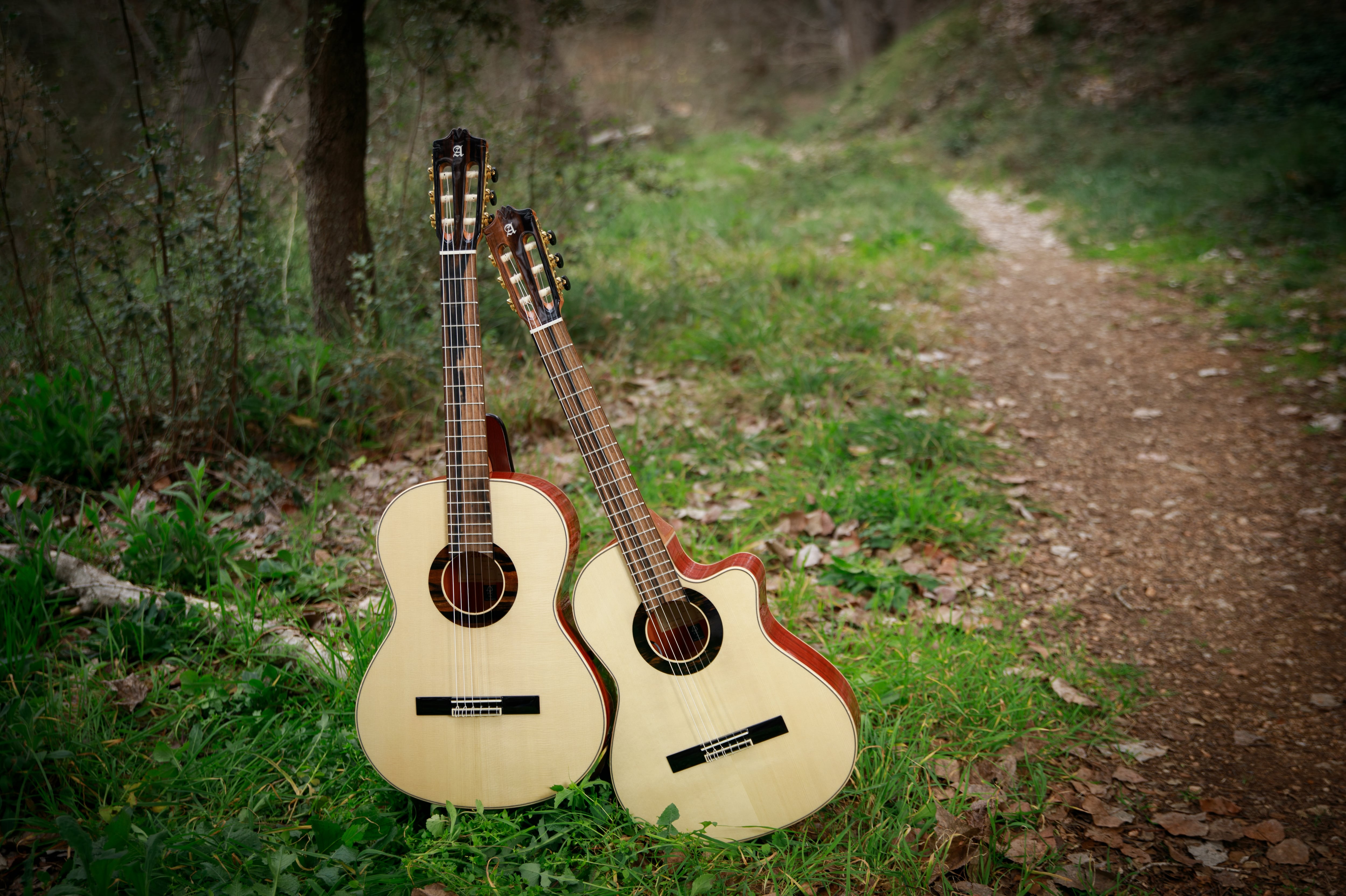 Dos modelos de Alhambra Guitarras.