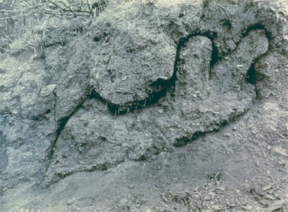 'Sin título', de Ana Mendieta (1980).