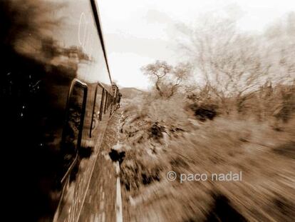El tren de las barrancas del Cobre