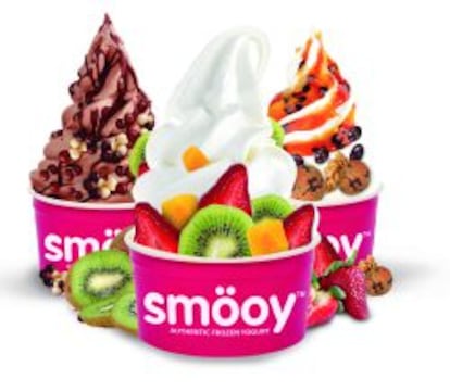 Aunque el producto más famoso de Smöoy es su yogur helado, también ofrece otros como helado de chocolate y nata, batidos, granizados, galletas o bizcochos.