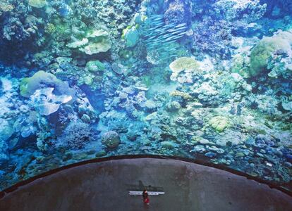 Un trabajador camina junto a la obra 'Gran Barrera de Coral' impresa en tela, obra del artista Yadegar Asisi, que estos días se encuentra expuesta en Leipzig (Alemania).