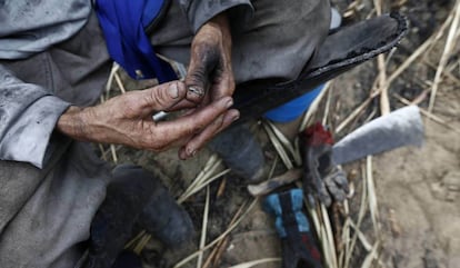 Imagem de 2014 de um cortador de cana de açúcar em Campos Dos Goytacazes, no Rio.