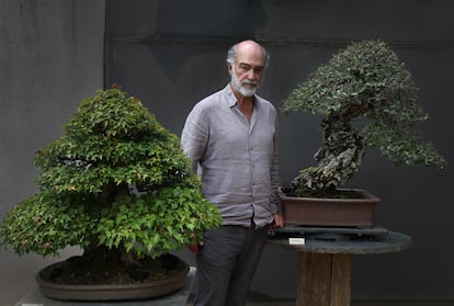 Museo del Bonsai Luis Vallejo