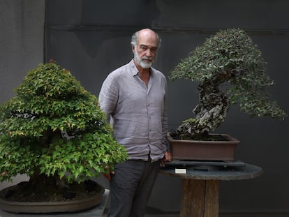 Luis Vallejo en el Museo del bonsái de Alcobendas.