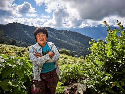 La agricultora Ngawang Choden en su parcela de avellanos en Mongar