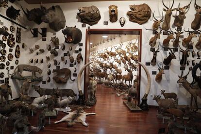 Vista del pabellón de caza internacional de Marcial Gómez Sequeira en su casa de La Moraleja.