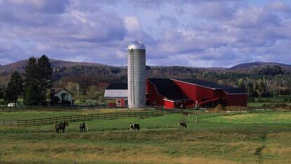 Vista de una granja con caballos en la provincia de Quebec, Canadá.