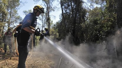 Un bombero remoja un &aacute;rea caliente del bosque afectado por el incendio de Madremanya.