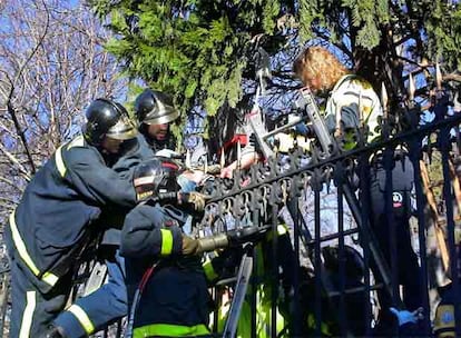 Bomberos y un médico del Samur intentan liberar al hombre que quedó atrapado en la valla del Retiro.