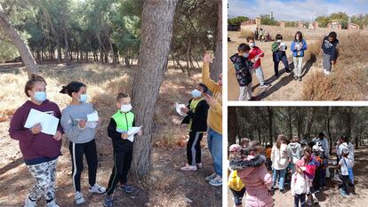 Estudiantes del Colegio Santa Engracia de Tauste recorren el bosque próximo al colegio e identifican plantas y animales.