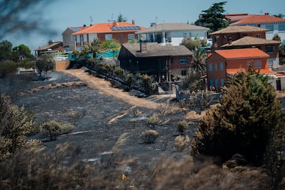Vista general de cenizas del incendio originado ayer en Méntrida, en la urbanización Calypo del municipio de Casarrubios del Monte.