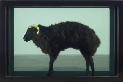 'Oveja negra con cuerdos dorados' de Damien Hirst, 2009.