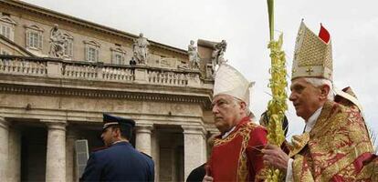 El Papa lleva una plama para celebrar el Domingo de Ramos