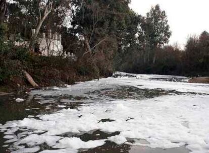 Aspecto que ofrecía el río Guadaira, afluente del Guadalquivir, el 2 de febrero a su paso por Alcalá.