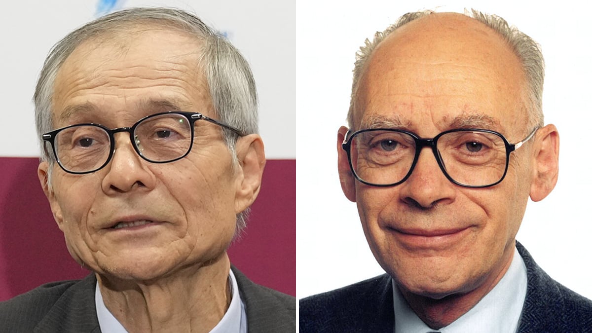Premio Nobel de Química para Henri Kagan y Kenso Soai por arrojar luz en el misterio de las asimetrías de la naturaleza