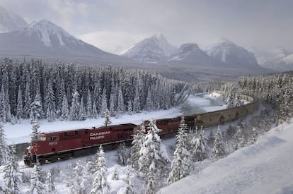 Canadá existe como país gracias al Canadian Pacific Railway, el ferrocarril que enlaza Montreal, en Quebec, y Vancouver, en la Columbia Británica. En su construcción, entre 1881 y 1885, participaron 12.000 hombres, 5.000 caballos y 300 trineos de perros, y hasta la década de 1940 fue el único medio efectivo de transporte de pasajeros hasta las regiones más remotas de Canadá, contribuyendo al poblamiento de la costa oeste. Hoy, por sus vías circulan casi exclusivamente trenes de mercancías como el que aparece en la foto, ciñéndose al arco de la Curva de Morant, uno de los escenarios más espectaculares del parque nacional de Banff, en las Rocosas canadienses. En 2000 se inauguró el Royal Canadian Pacific (www.royalcanadianpacific.com), que permite a los viajeros recorrer estos mismos parajes desde Calgary en lujosos trenes de época.