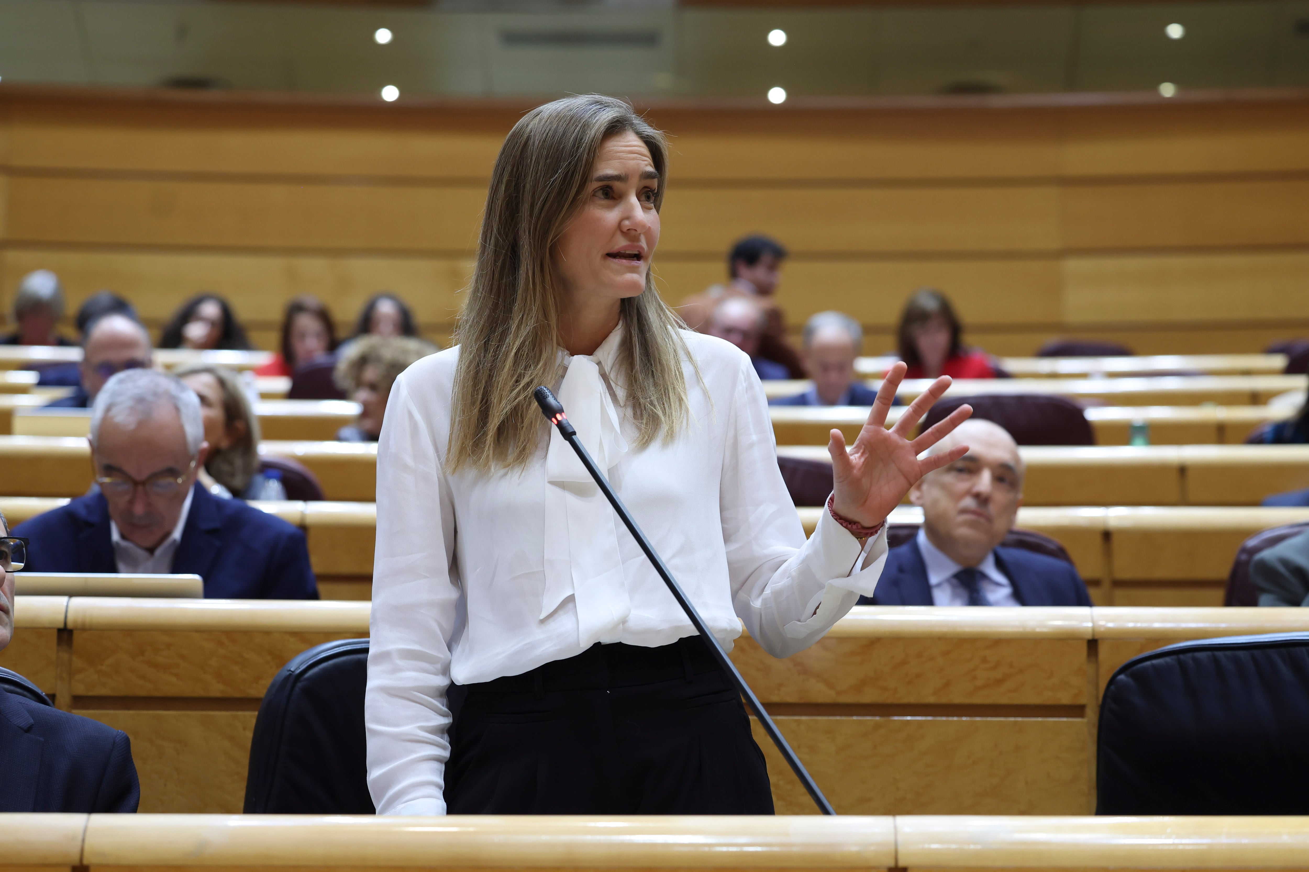 El PP asedia a la vicepresidenta Aagesen en su estreno en el Senado: “Es usted como Sánchez” 