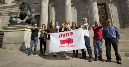 Miembros de Avite ante el Congreso en septiembre de 2015.