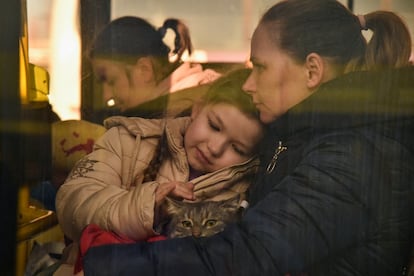 Una niña acaricia a su gato en un autobús para refugiados en Lviv, el 13 de marzo. Los gatos llegan a los refugios envueltos en mantas para protegerlos del frío durante un viaje de horas o días. No son un problema añadido en la huida, más bien sirven de consuelo para los más pequeños, que se han tenido que separar de sus padres, amigos, maestros y de la vida que conocían.