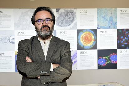 El biòleg Lluís Montoliu, del Centre Nacional de Biotecnologia, a Madrid.