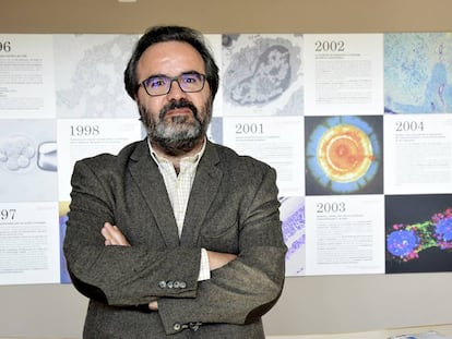 El biòleg Lluís Montoliu, del Centre Nacional de Biotecnologia, a Madrid.