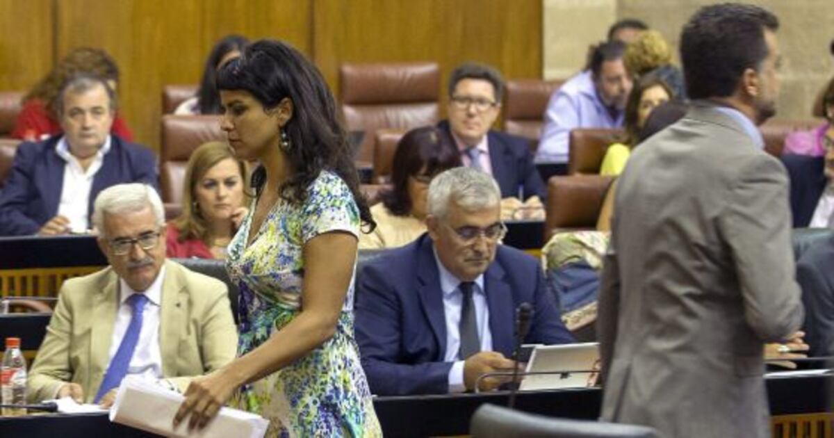Andalucía: El Parlamento andaluz aprueba por unanimidad investigar la ...