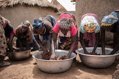 Un estudio realizado en Ghana indicó que la recolección y el procesamiento del karité contribuye con un tercio de los ingresos que las mujeres aportan a la economía en las áreas en que crece este árbol. En Burkina Faso se estima que hay entre 300.000 y 400.000 mujeres que participan en la producción y la comercialización de este fruto.