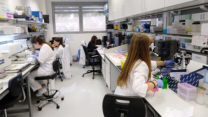 Laboratorio del Instituto de Oncología del Vall d’Hebron (VHIO), en Barcelona.