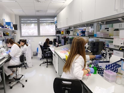 Laboratorio del Instituto de Oncología del Vall d’Hebron (VHIO), en Barcelona.